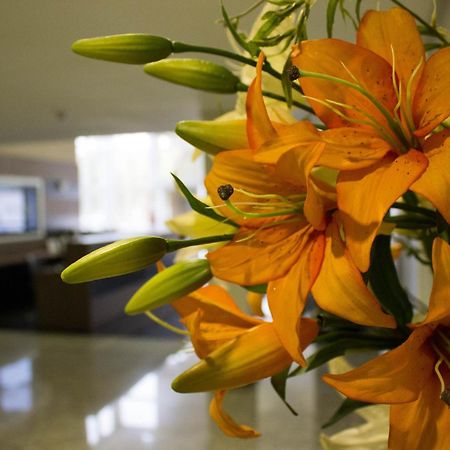 De Stefani Hotel Portao Ngoại thất bức ảnh